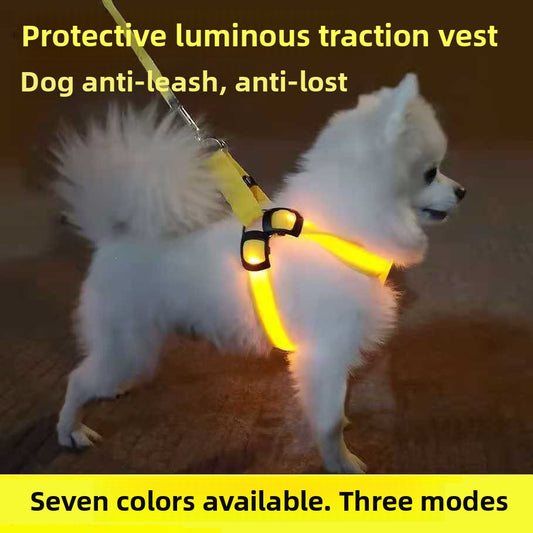 LED Light Up Dog Harness Fiber Optic for Small Medium Large Dogs