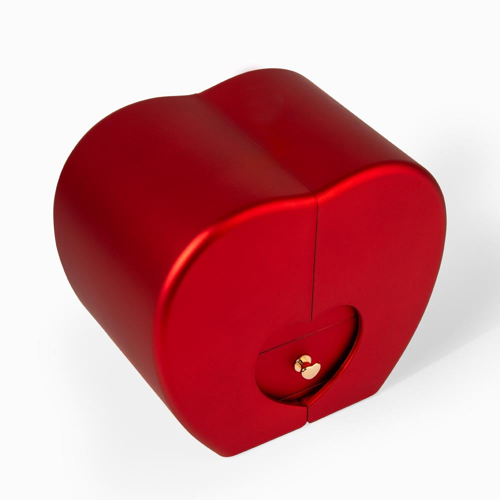 „Forever Love“-Halskette mit roter Herz-Rosen-Box