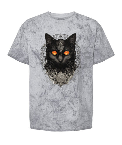 Unisex Blast T-Shirt | Comfort Colors 1745