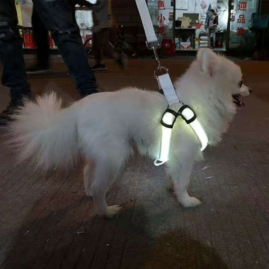 LED Light Up Dog Harness Fiber Optic for Small Medium Large Dogs