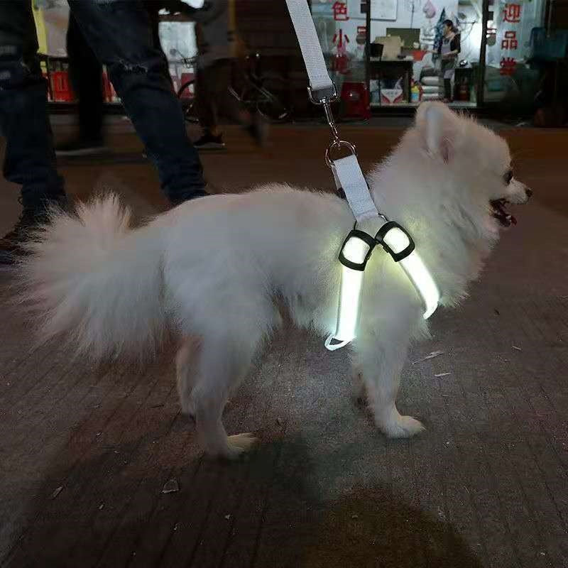 LED Light Up Dog Harness Fiber Optic for Small Medium Large Dogs