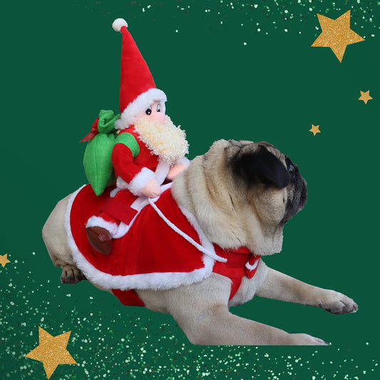 Pet Dog Christmas Santa Costume