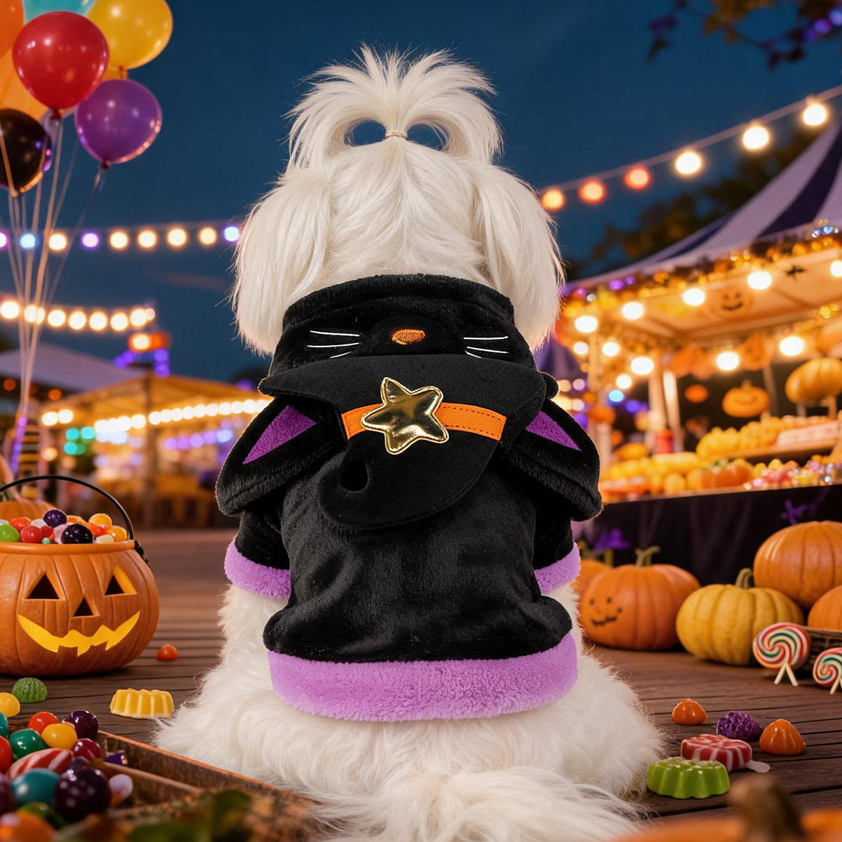 Halloween-Kostüm für Katzen und kleine Hunde